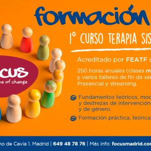 1er Curso de Terápia Sistemica 2026/27